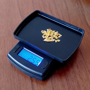 Pangold Mini Scale